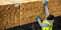 Team member checks stack of treated timber